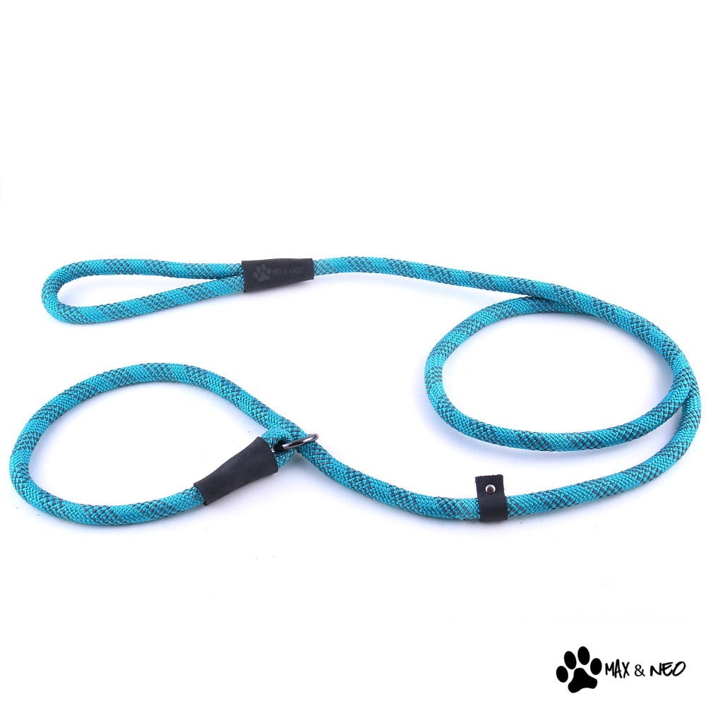 Dog Leash: 5-foot Reflective Nylon Rope Slip Lead, Teal